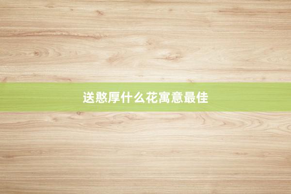 送憨厚什么花寓意最佳