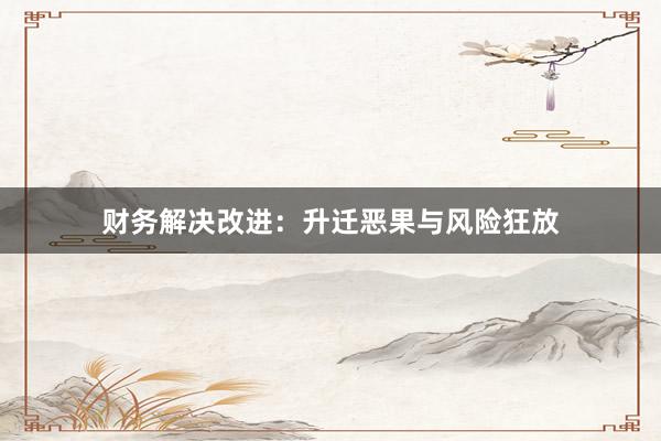 财务解决改进:升迁恶果与风险狂放