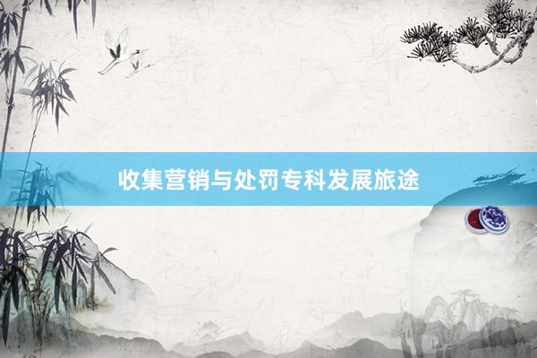 收集营销与处罚专科发展旅途